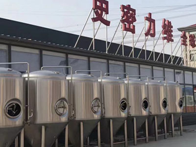 沙依巴克精酿啤酒设备厂—如何判断精酿啤酒设备的密封件需要更换？
